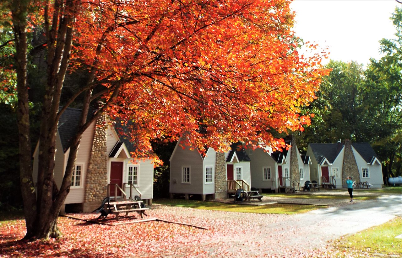 early-october-gilchrest.jpeg