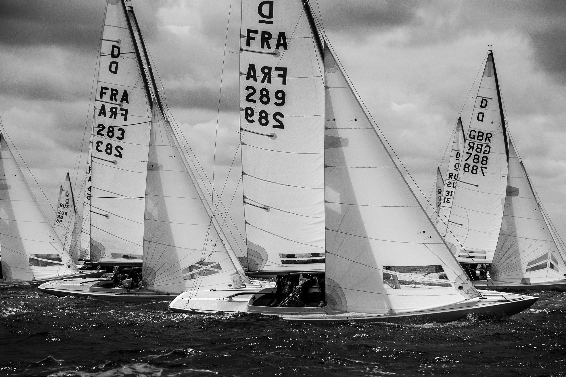 DSC_3375-4