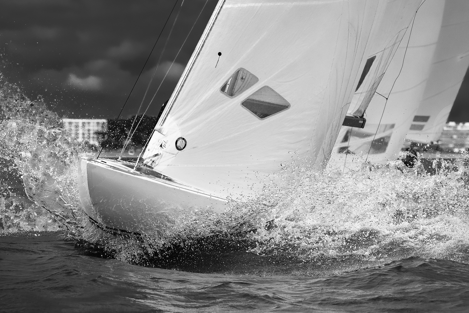 DSC_5573-4