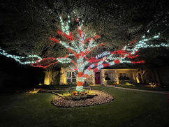 Red and white Christmas tree lighting display at a home in East Amherst, NY.