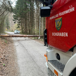 Sturmschaden - Baum über Straße (T1) 