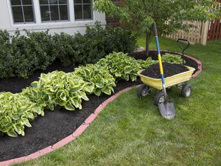 With the heat of high summer approaching, it's a good idea to top up your mulch.