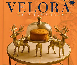 WhatsApp Image 2025-11-22 at 13.34.55(2).jpeg