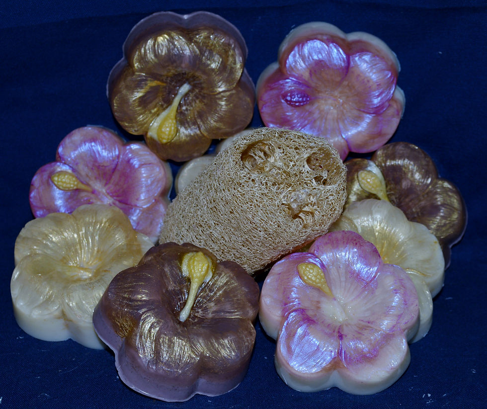 Loofah Soap