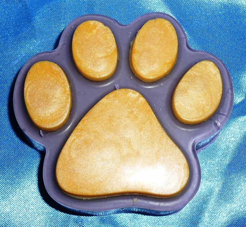Large Paw Print Soap
