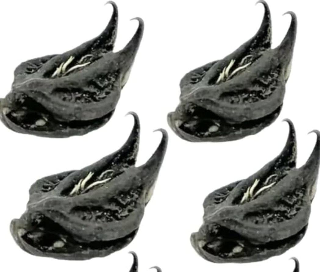 Griffe du lion 30 unités