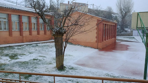 nieve (1).jpeg