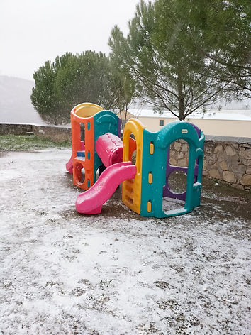 nieve riba.jpeg
