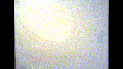 Class Project - Piglet Character Acting