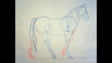 Class Project - Horse Walk cycle