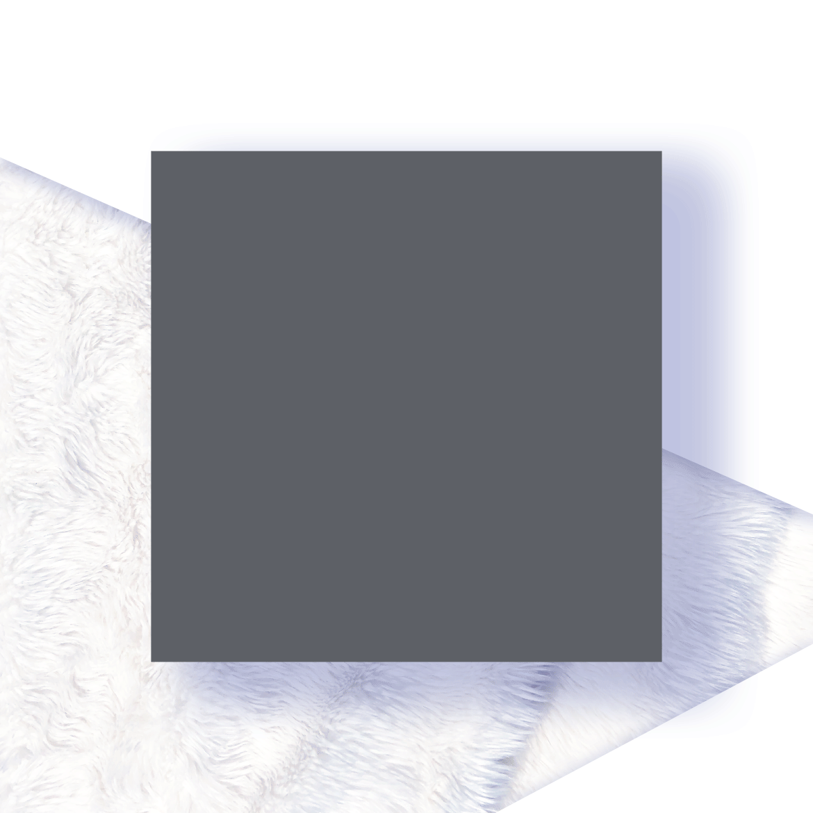 header.gif