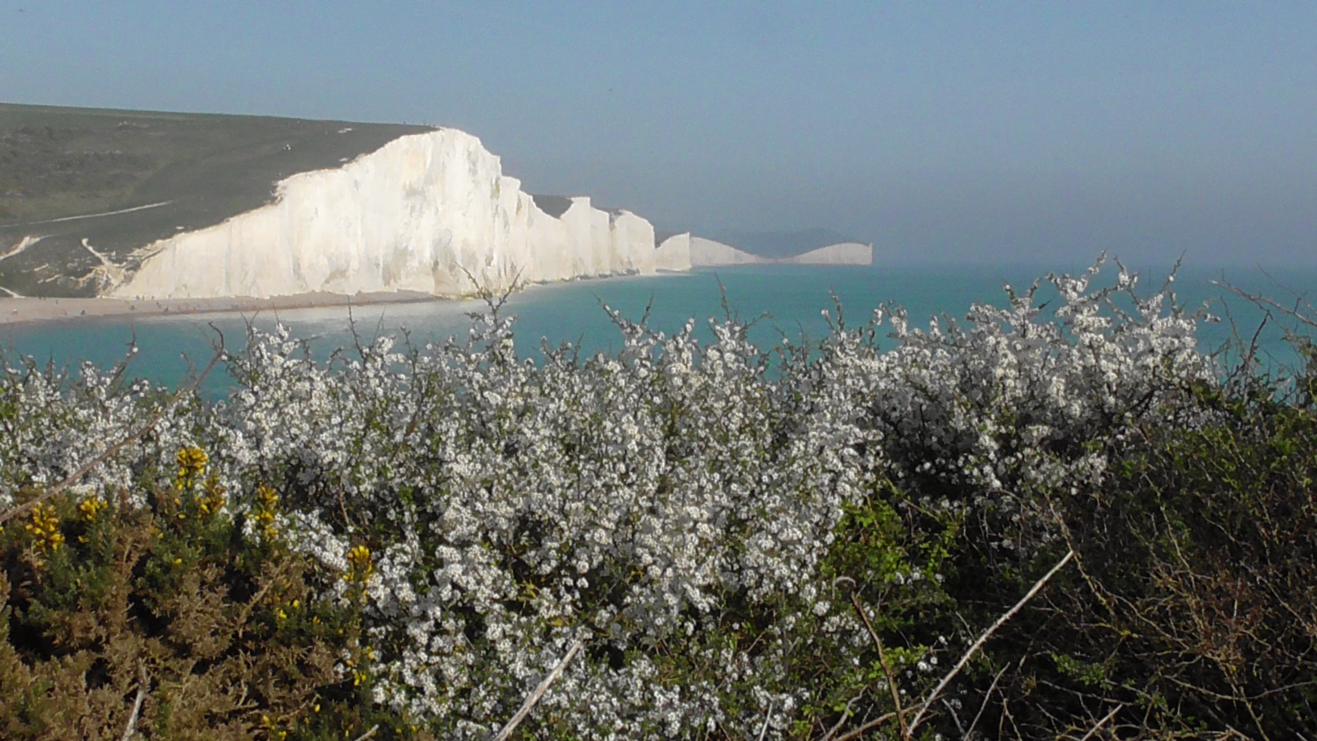 Blackthorn & Seven Sisters