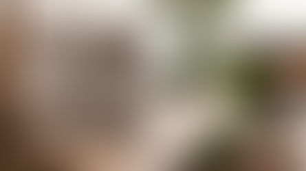 Time Management Essentials