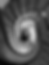 projects_main.png