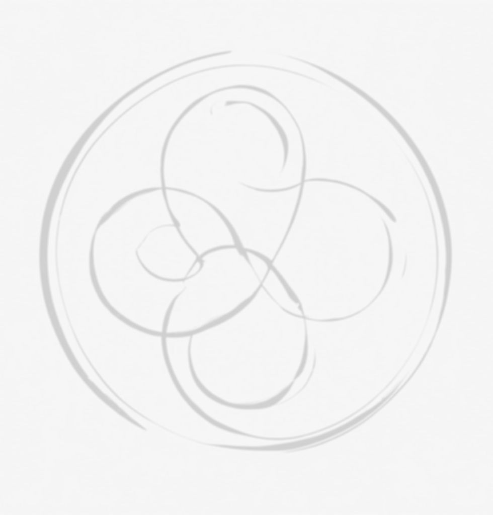 four tear drop shapes in a circle formation_edited.jpg