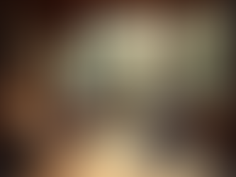 The Allure of Luxury Cabin Rentals