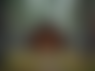 Family Cabins in Texas: A Perfect Escape