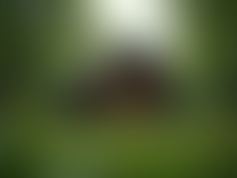 Stunning Views: Photos of Cozy Hill RV and Cabin Retreat