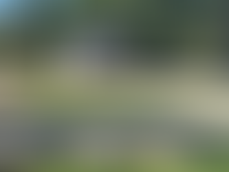 Explore the Serenity of Cozy Hill RV and Cabin Retreat