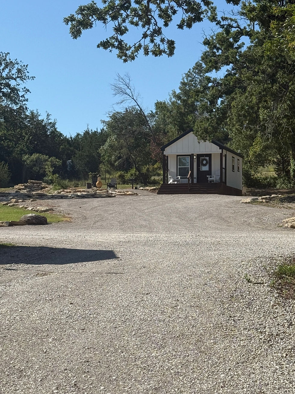 Eye-level view of cozy wooden cabin surrounded by lush green trees