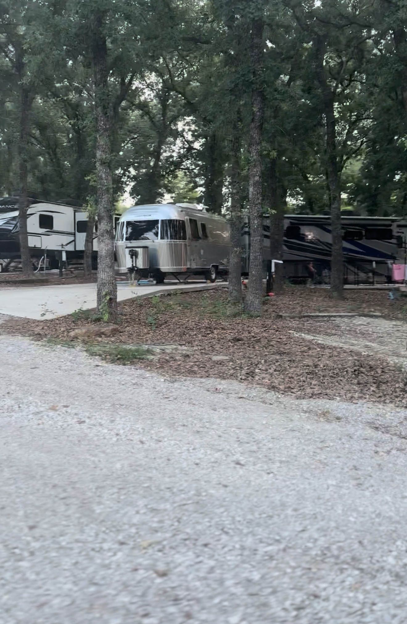 Eye-level view of a spacious RV site surrounded by trees