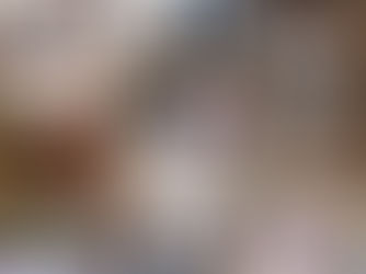 Holiday Gift Guide 2016