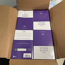 Bibles.jpg
