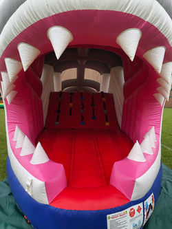 Shark Run