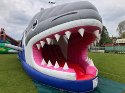 Shark Run