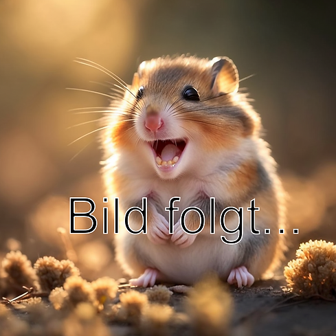 Bildschirmfoto 2023-03-11 um 11.57.46.png