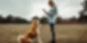 woman training her akita dog to sit for a treat 600 canva.webp