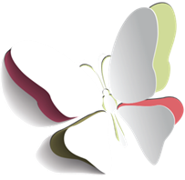 Transparent Butterfly Logo - Meshea