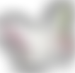 Introducing Our eGift Cards!!