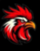 Pow5r Sports League is a premier youth sports organization based in West Texas, serving Midland, Odessa
