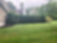 Tree planting with mulched base and surrounding landscaping