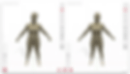 Preview of Styku 3D Body Scanning results at Embody EMS Fitness in Bernardsville, NJ. Detailed measurements help tailor workouts and track your fitness progress. Call 908-539-0050 to book your body scan and monitor your fitness transformation!