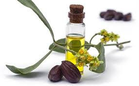 Thumbnail: Kakadu Plum Moisturiser