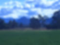 IMG-8090_edited.jpg