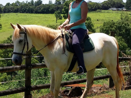 Torso and Seat Position While Riding Horses