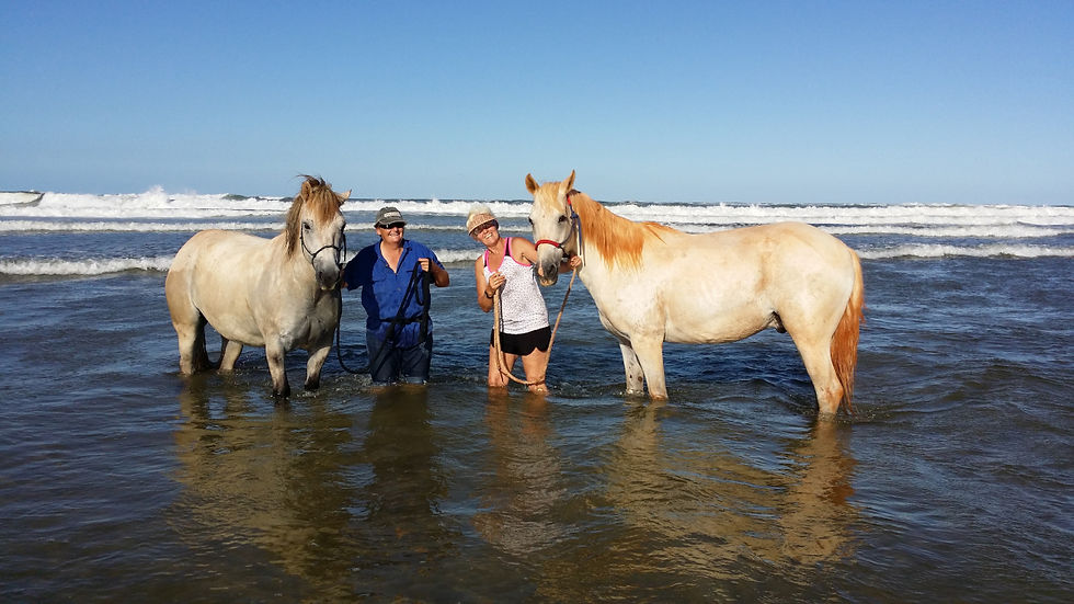 Two womwn with their horses standing in the water at the beach