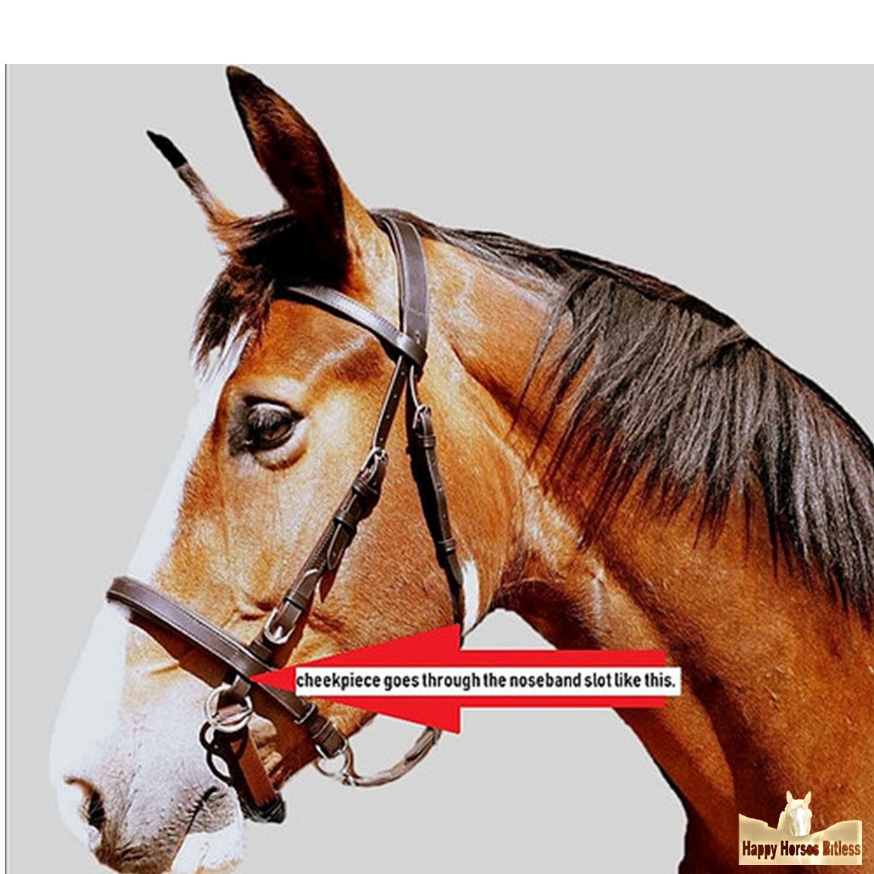 CONVERTER to SIDE-PULL bitless bridle