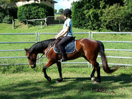 Making it Easy for Horses