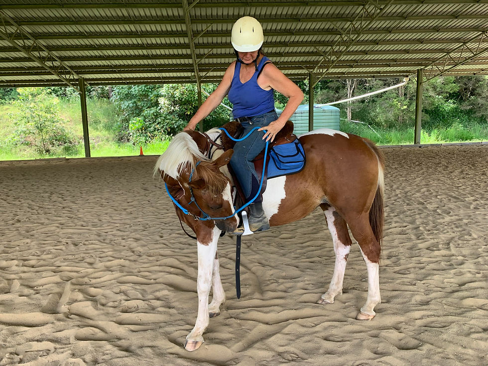 A woman on a paint horse practicing doing a one rein stop