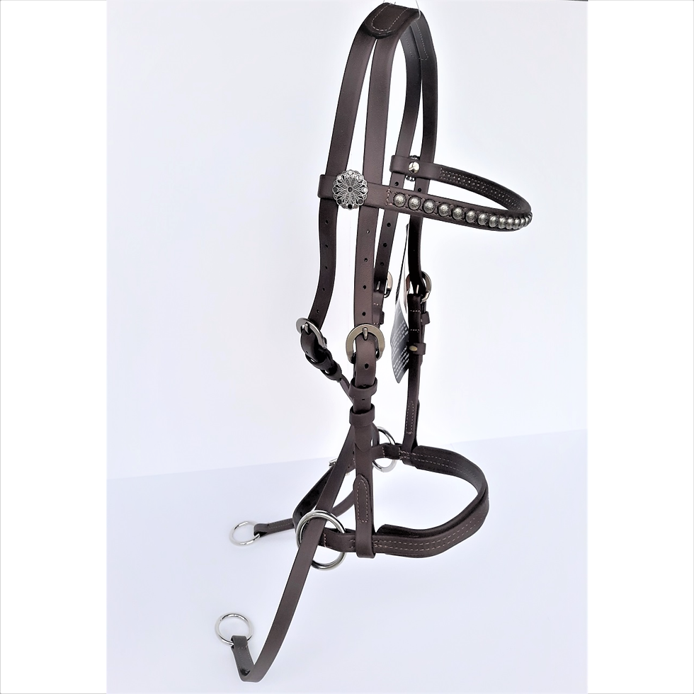 縮圖：deluxe bitless bridle