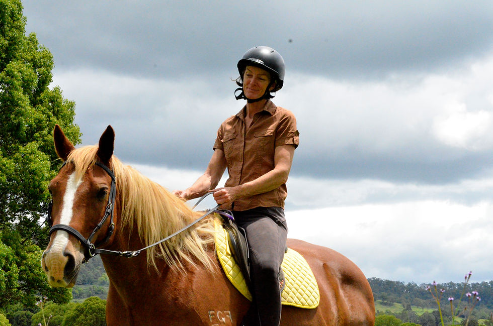 woman riding a brumby horse in a Dr Cooks bitless bridle