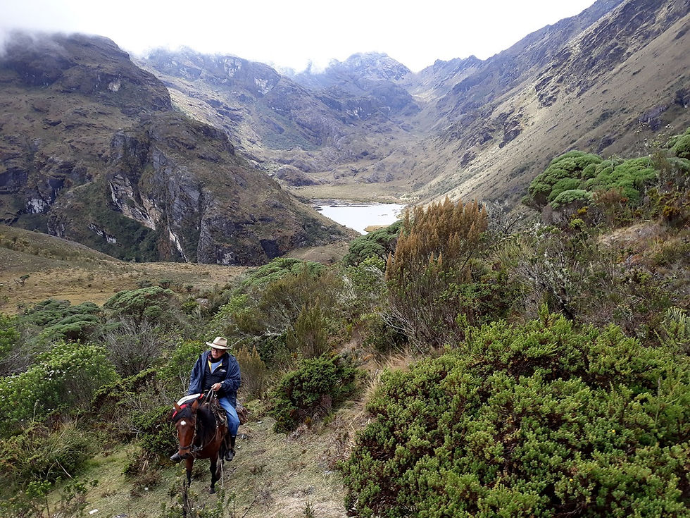 A man riding a horse in the Colombian Andes