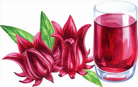 Hibiscus