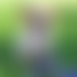 SadieSensations Leash