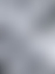 Looking up at the tops of trees