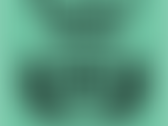 Coastal Tours Wins 2021 Tripadvisor Travelers' Choice Award